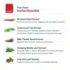 Epic Wholesale - Detoxify EverClean Program