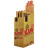 Epic Wholesale - RAW Cones