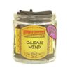 Epic Wholesale - Wild Berry Backflow Cones Ocean Wind