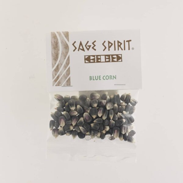 Sage Spirit - Blue Corn