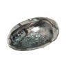 Epic Wholesale - Shaman's Choice Shell