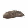 Epic Wholesale - Shaman's Choice Shell