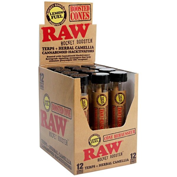 Epic Wholesale - RAW Lemon Fuel Cones