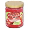Epic Wholesale - Smoke Odor Eliminator Candle