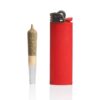 Epic Wholesale - GRAV SHORT CONES