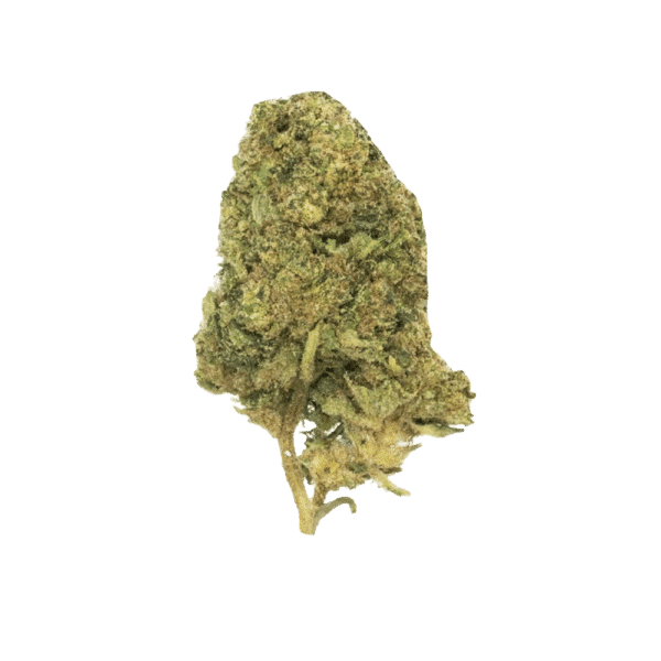 Gas Boys Key Lime Jack THCA Flower 42g Jug