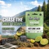 Gas Boys Key Lime Jack THCA Flower 42g Jug