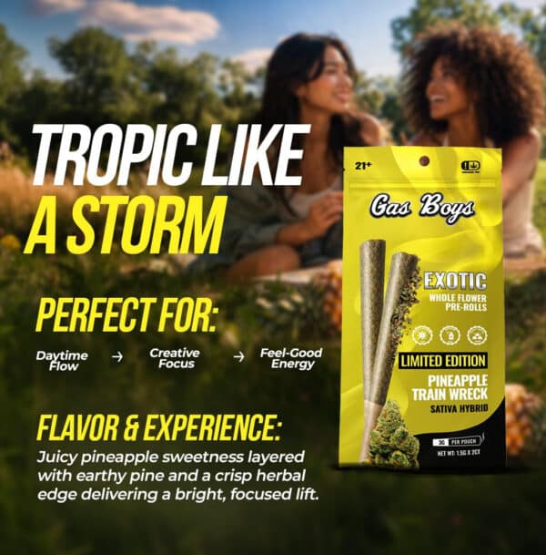 Gas Boys Pineapple Trainwreck Whole Flower Pre-Rolls 2ct