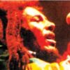 Bob Marley Papers!