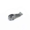 ONYX Pipe Fish